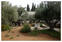 038GardenofGethsemane.JPG