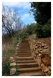 085WoodenSteps.JPG